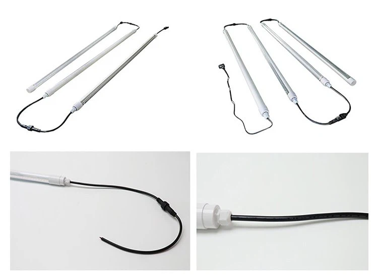 Poultry house lighting