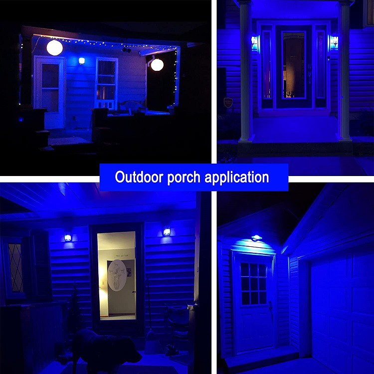 blue light bulbs application1 blue light bulbs application1