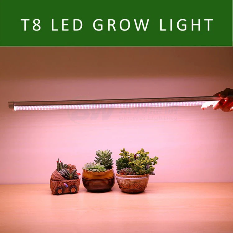 T8 LED تنمو أنبوب الضوء