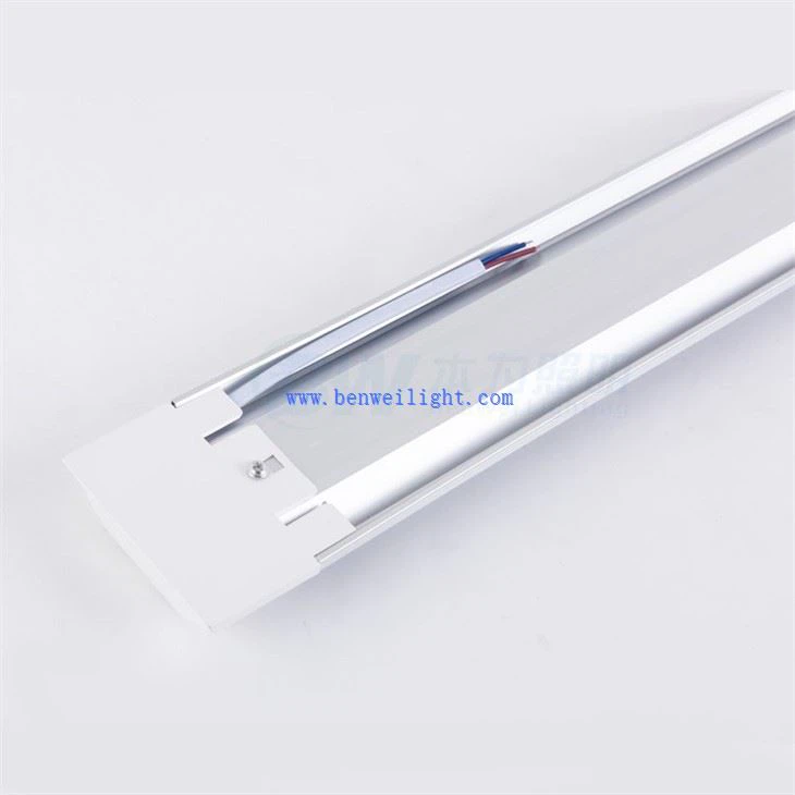 LED Purification Light