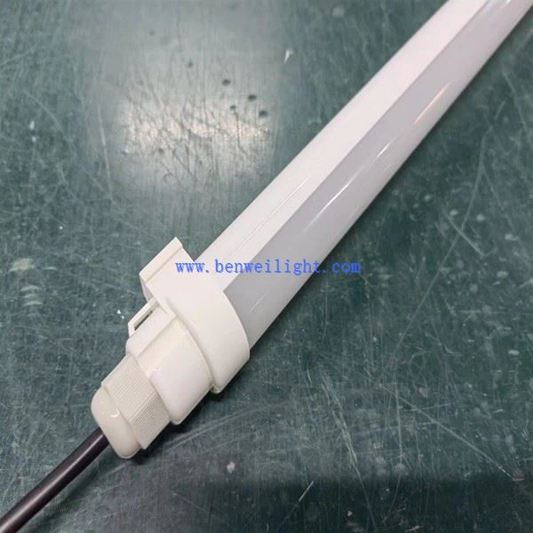 الإضاءة لمباني الخنازير