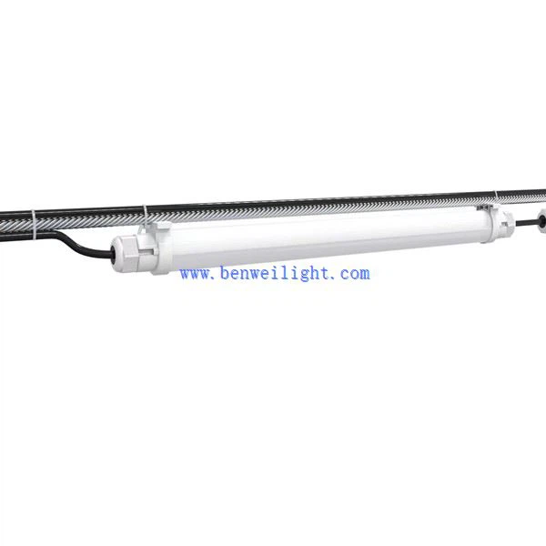 إضاءة LED لتربية الدواجن وتربية الخنازير