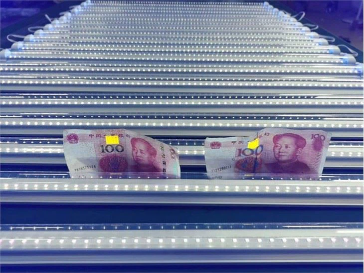 t8 black light 48 inch