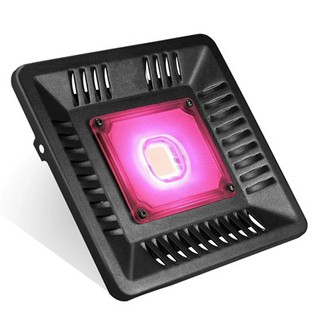 100 واط مقاوم للماء IP67 مصباح نباتي متزايد