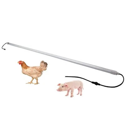 ضوء LED باهت للدواجن
