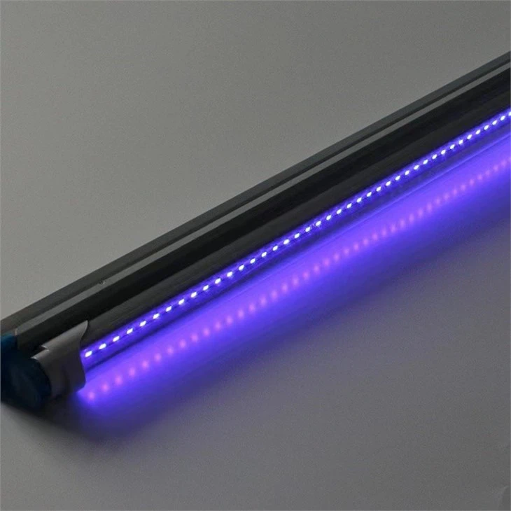 light that kills mosquitoes