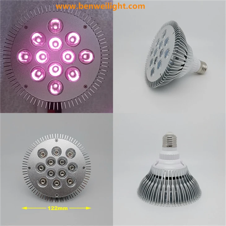 InfraGlow Red & Infrared Light Therapy factory