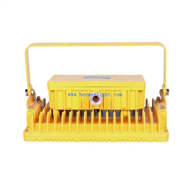 100W Explosion-Proof Light (2)