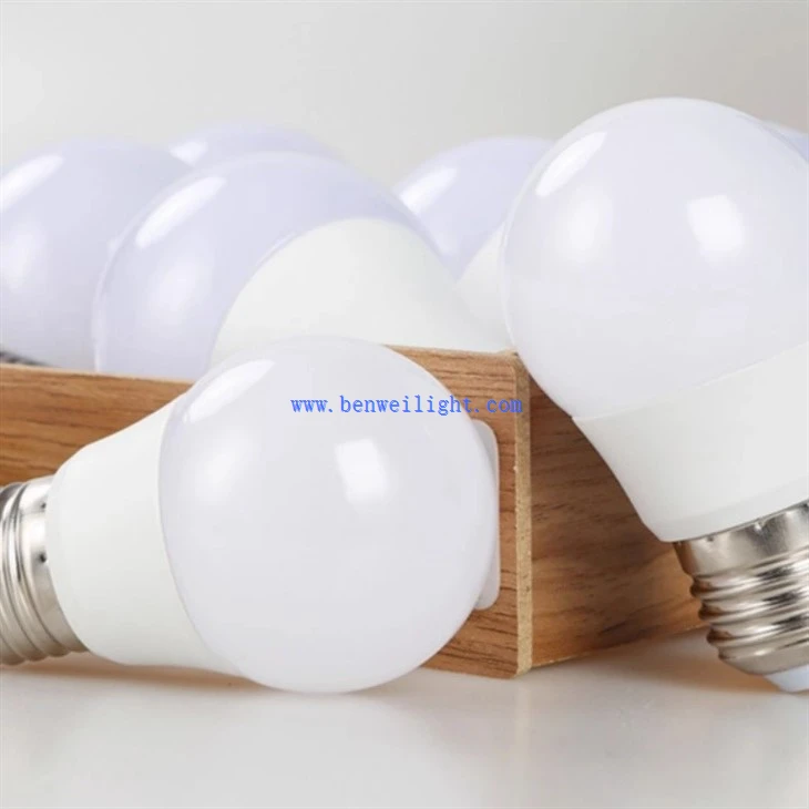 24V 8W Plastic LED Bulb (3)