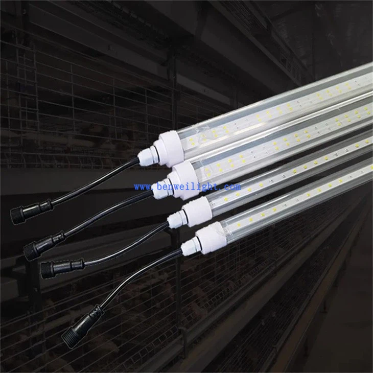 Barn Lights For Chickens  (5)