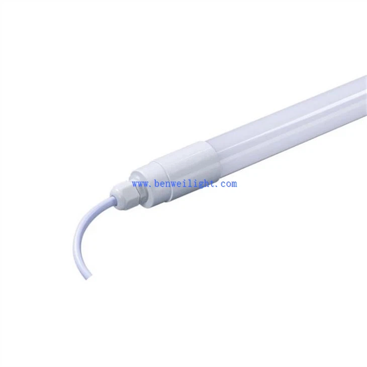Beef Production Light (2)