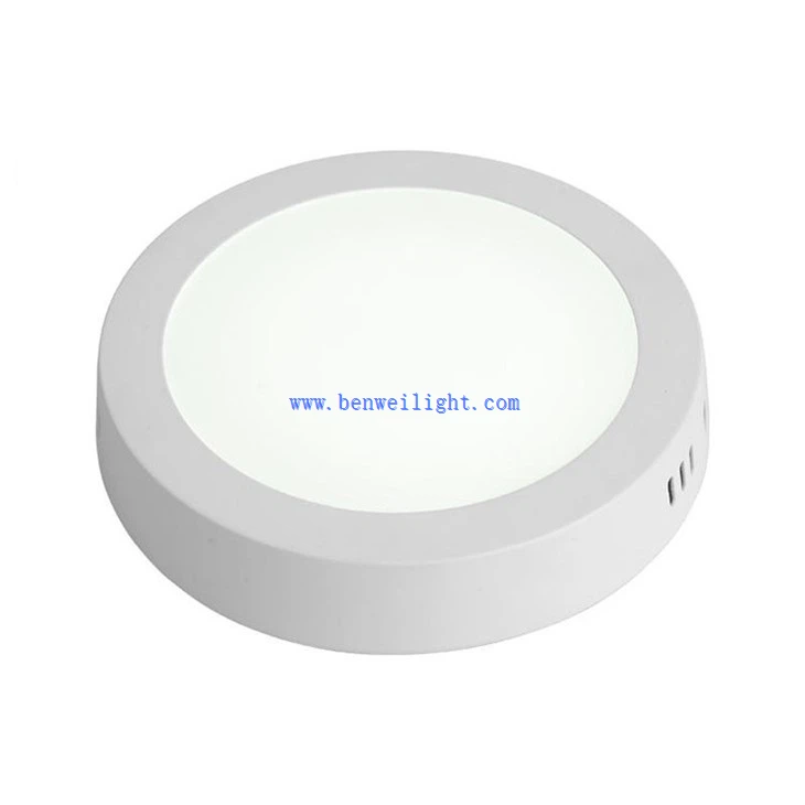 Ceiling Mounted Round LED Light (2)