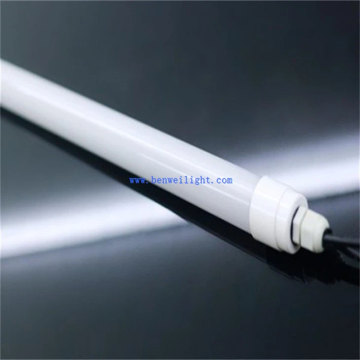 Coop Lighting (5)