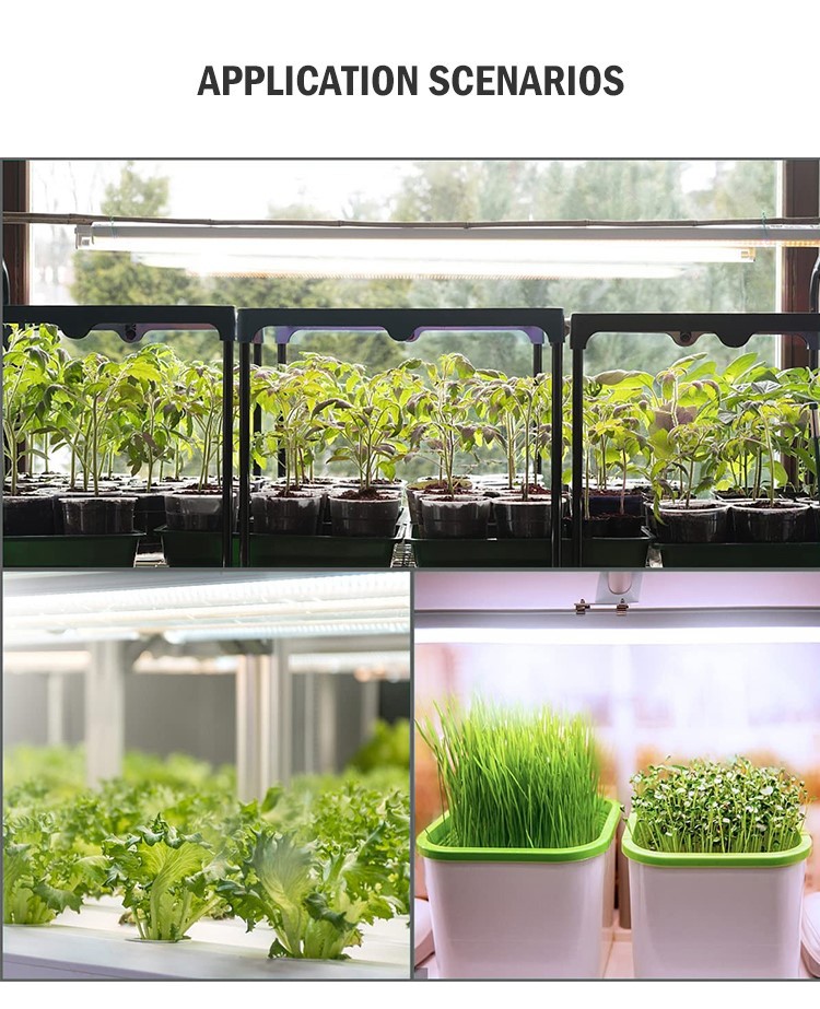 H0c93a6bc6cbe453a889010647abdade3n H0c93a6bc6cbe453a889010647abdade3n