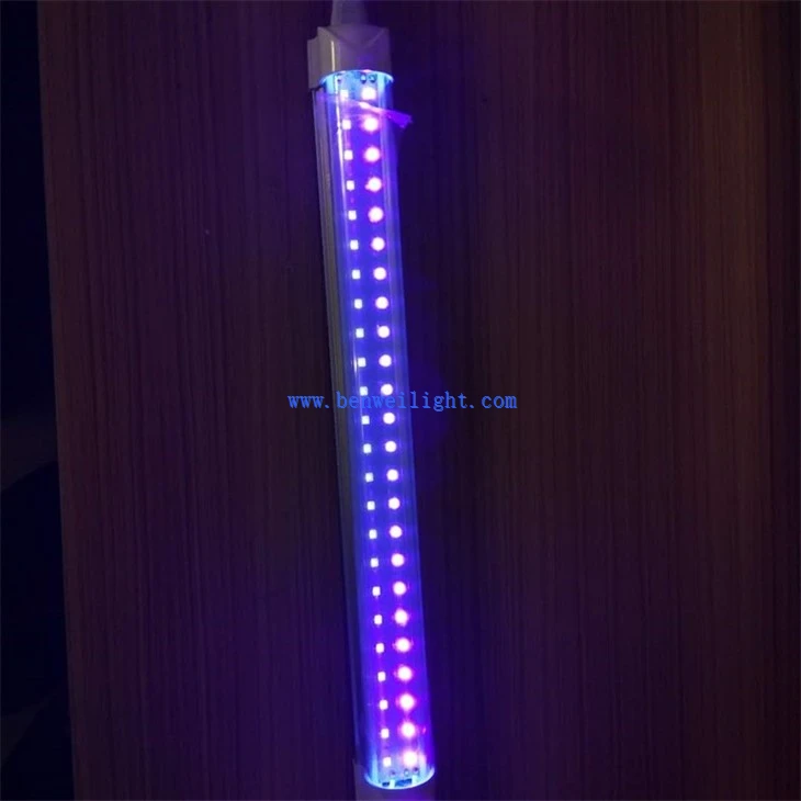 LED Lamp (2)
