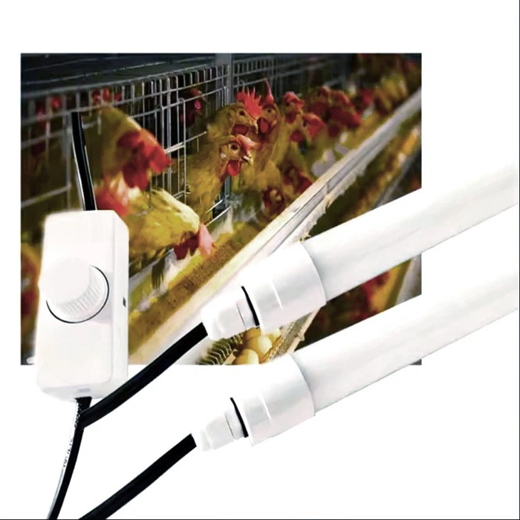 أضواء أنبوب LED للدواجن مقاومة للماء