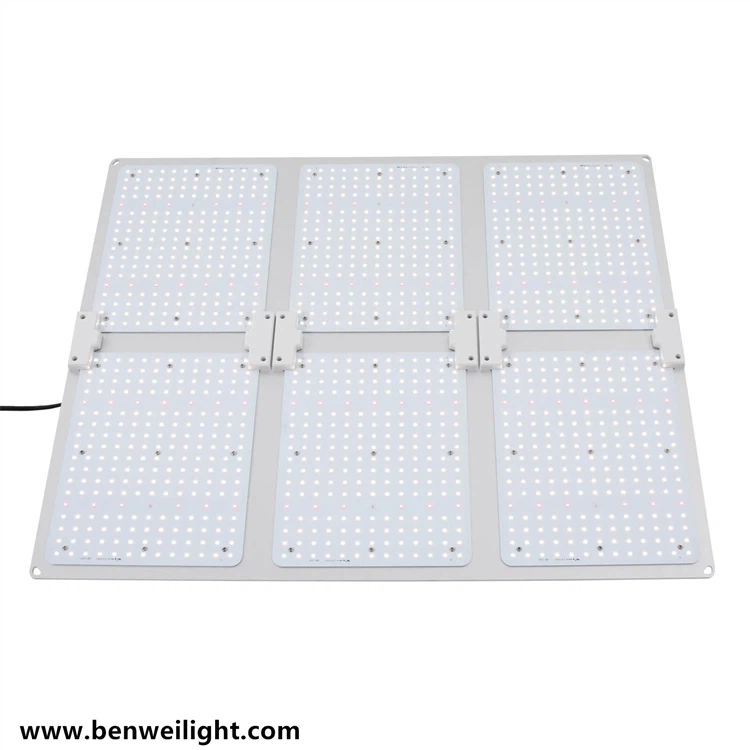 product-750-750 product-750-750